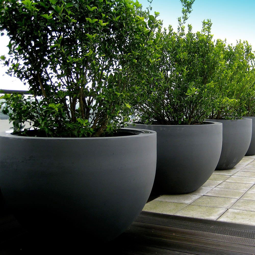 Terrace Planter